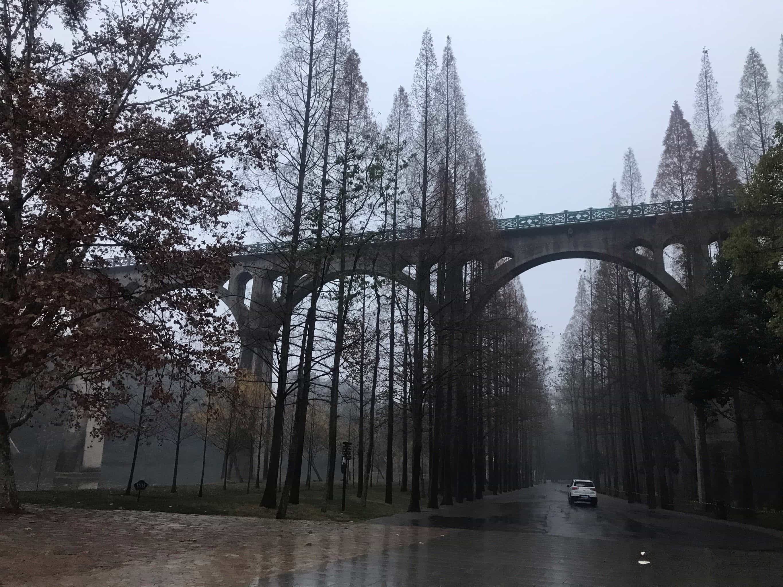 宜昌三峡玉泉寺茶叶有限公司