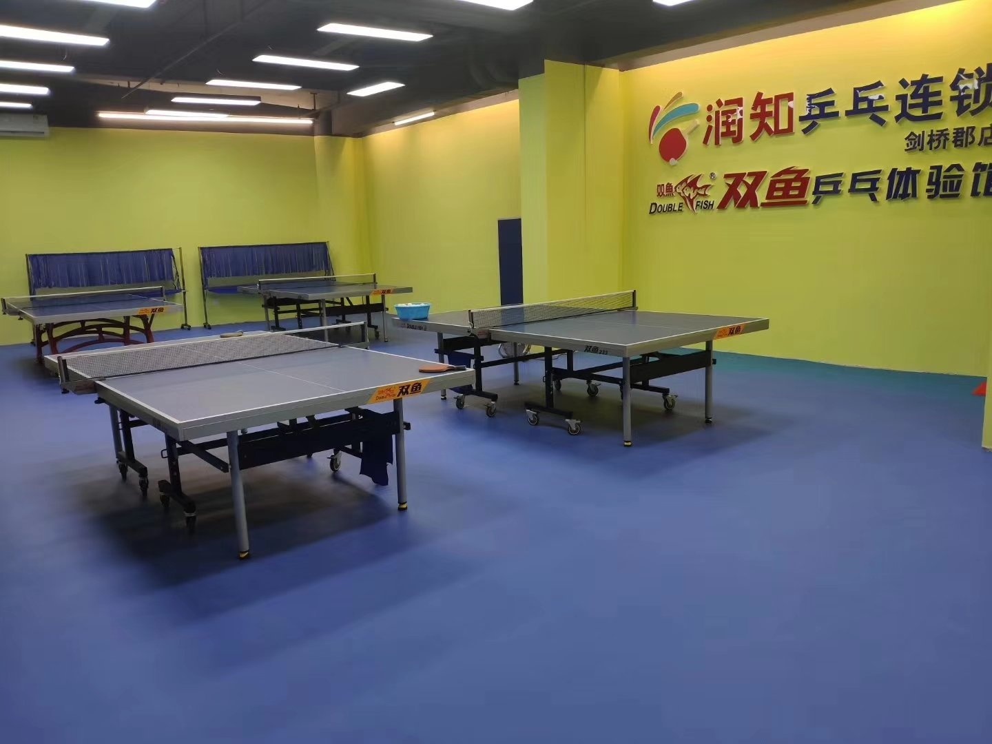 润知乒乓连锁