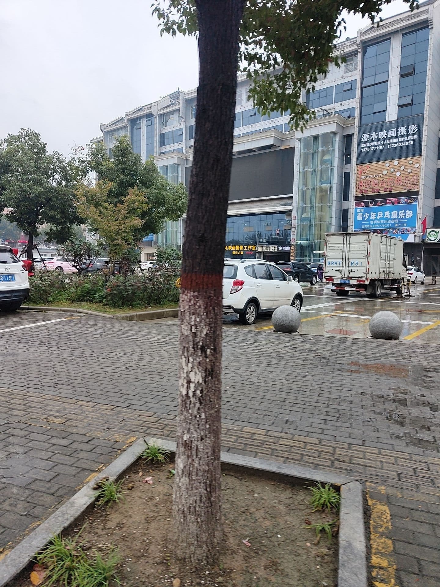 鹰视青少年乒乓球俱乐部
