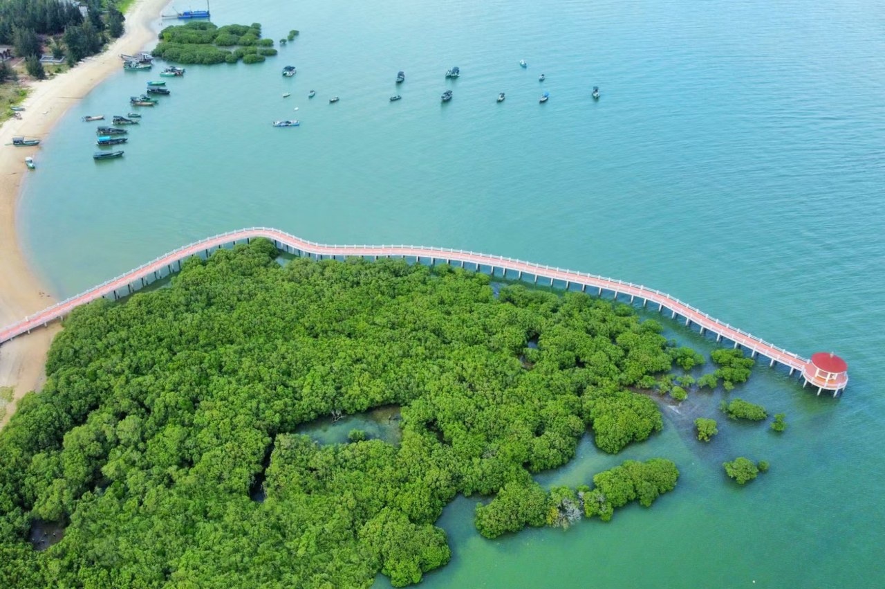 特呈岛后场民宿