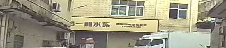 深圳一龙水族