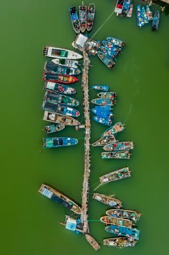 广东省汕尾市碣石镇水产品批发市场
