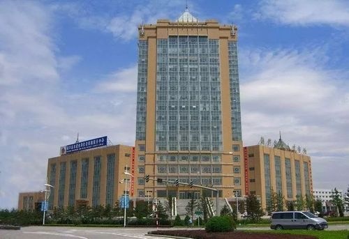 葫芦岛市人力资源和社会保障局