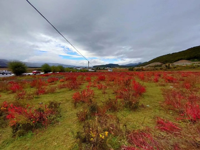 玉龙雪山国家重点风景名胜区下虎跳景区望峡台