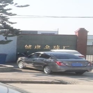 台山市冲蒌镇健康桌球厂