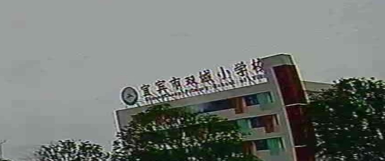 宜宾市双城小学校