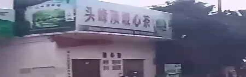 头峰顶坡心茶