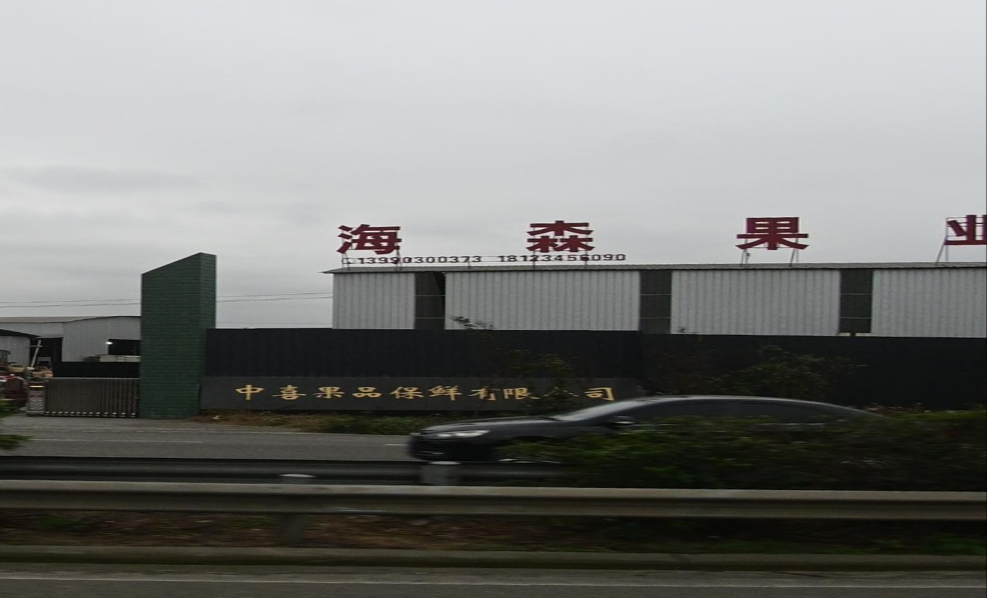 海森果业