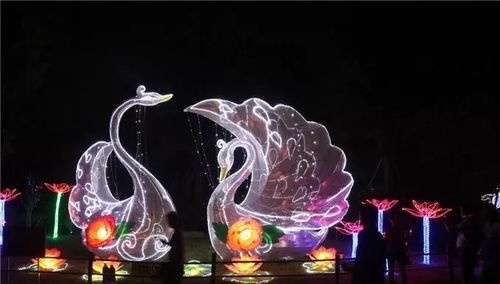 贾家庄平雪节