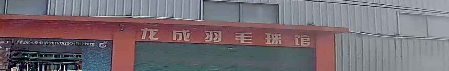 龙成羽毛球馆