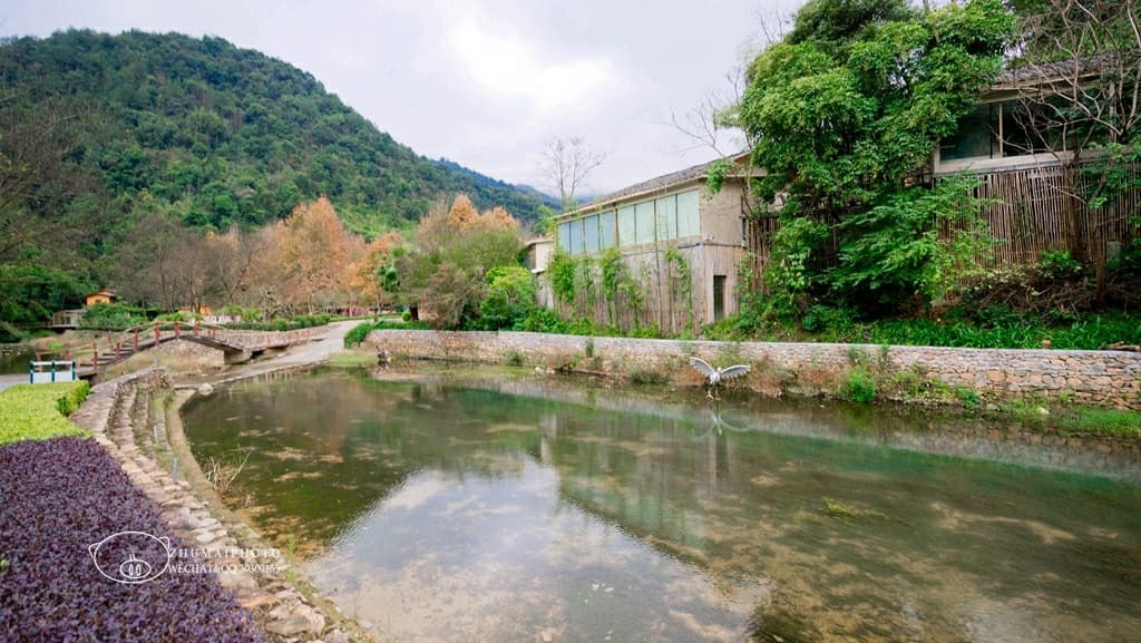 丹霞灵溪森林度家景区