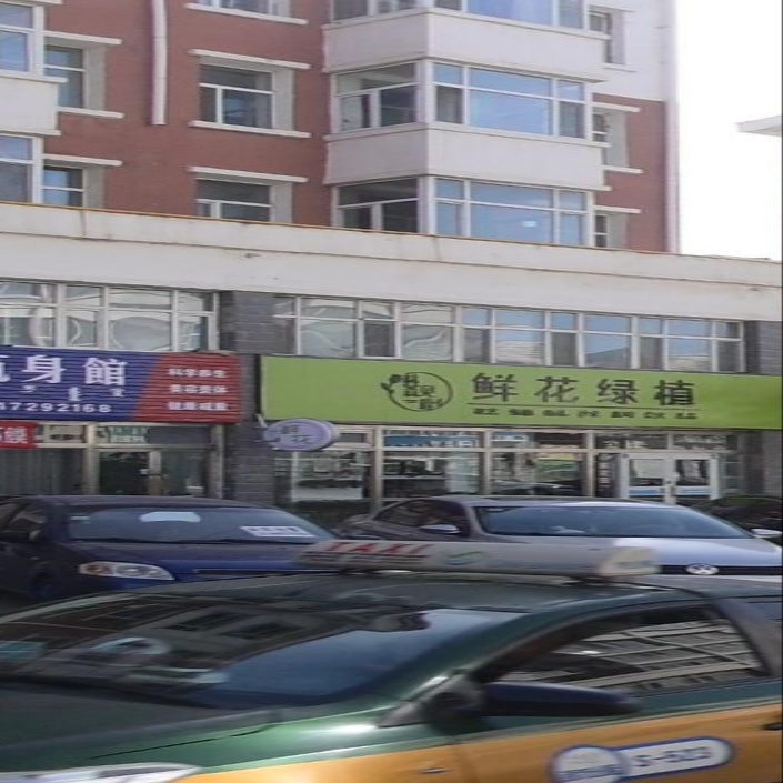 林森见鹿鲜花绿植