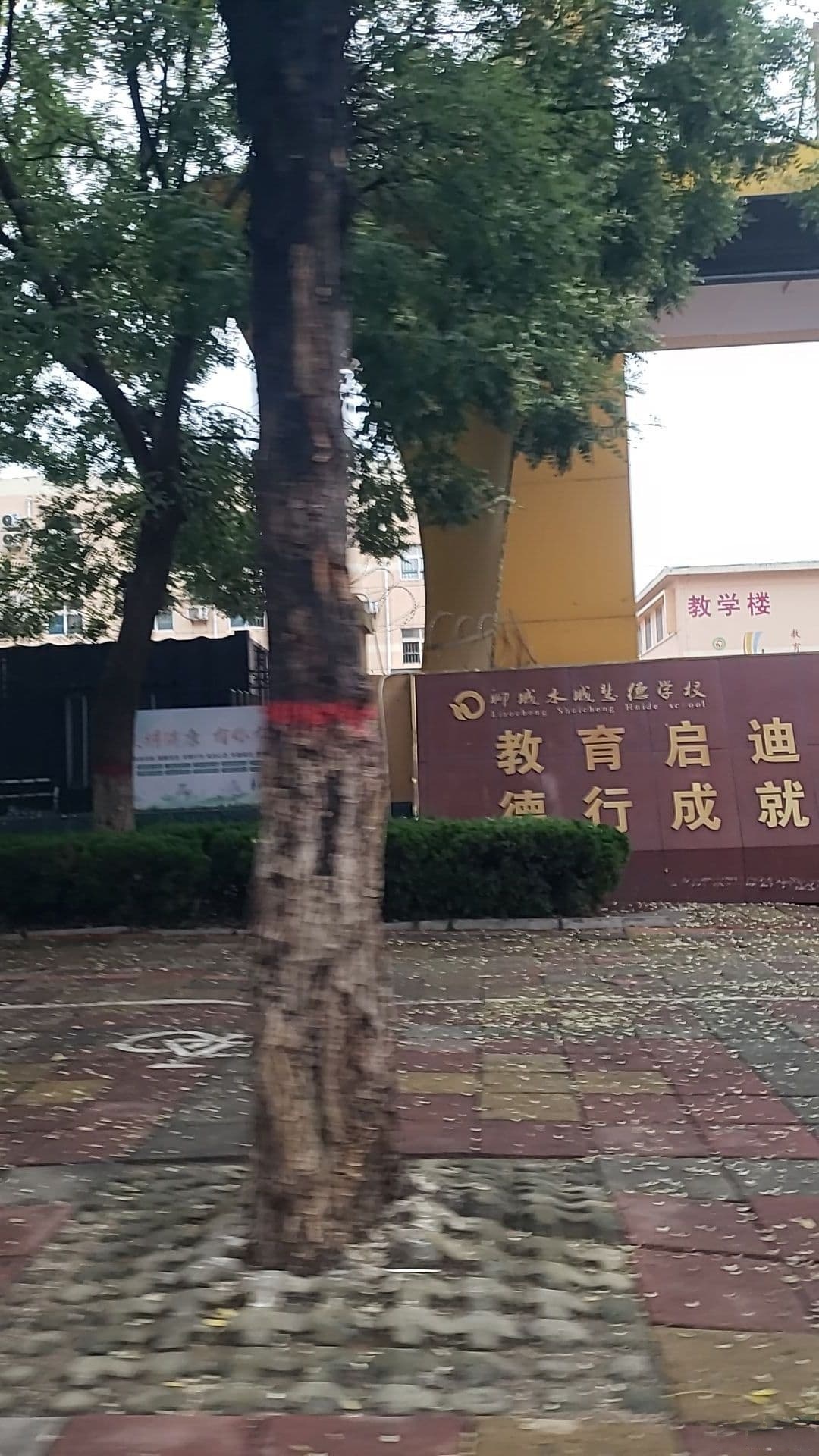 聊城水城慧德学校-教学楼