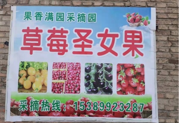 果香满园采摘园