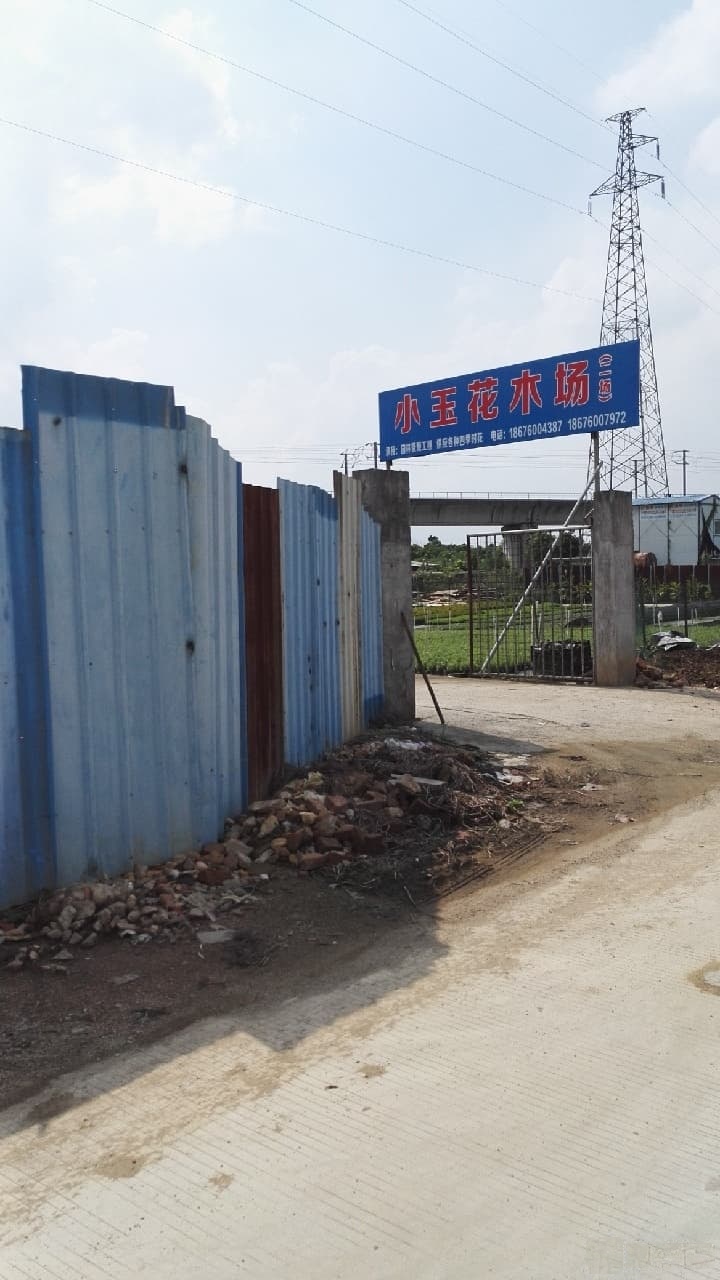 小玉园林花木场(二场)