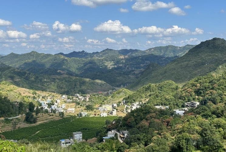 鲁贡镇