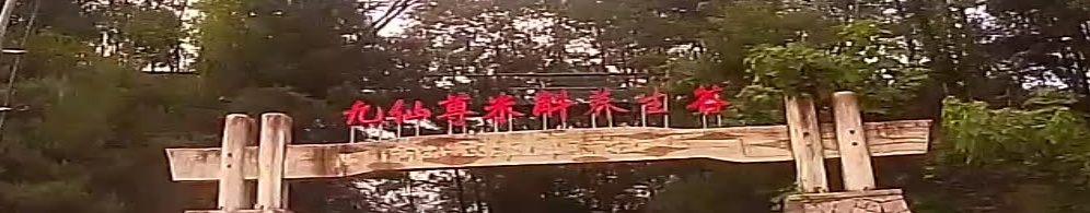 仙果疏尊米斛养生谷
