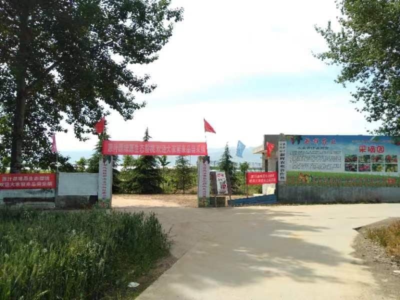宝鸡市新辉农业踩摘园