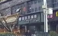 闻晓木桶鱼