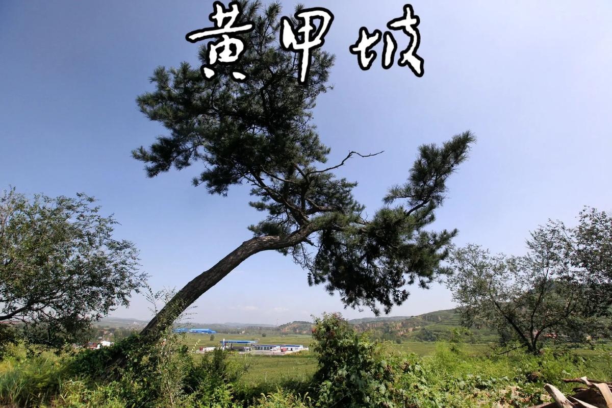 宗艾镇