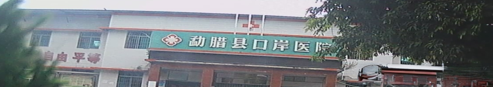 勐腊县勐满口岸医院