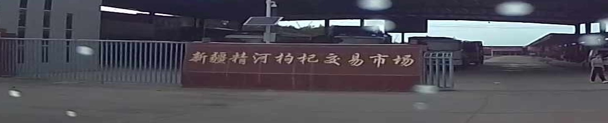 新疆精河枸杞子交市场