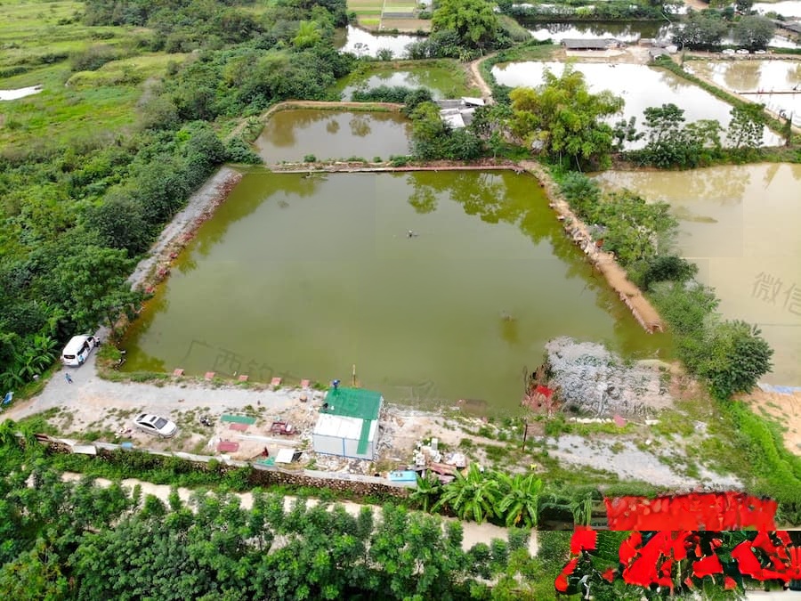 石埠大表哥休闲钓场
