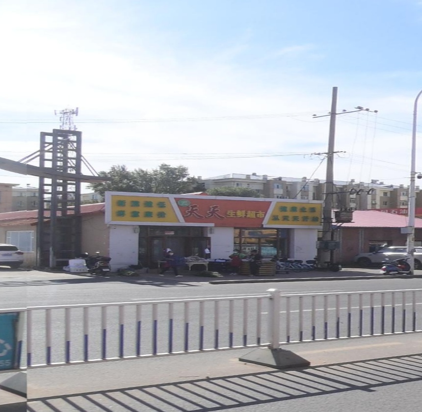 天天生鲜超市(胜利东路店)