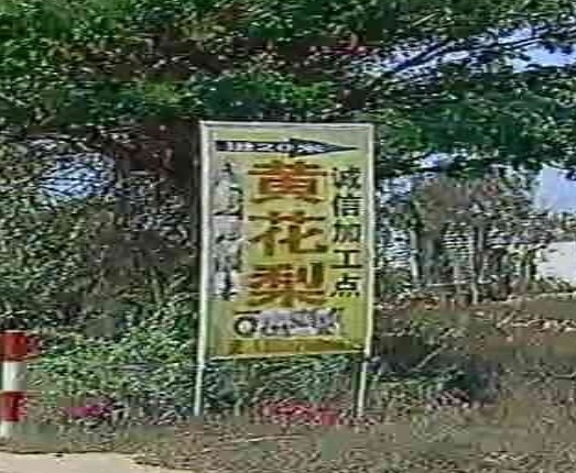 黄花梨诚信加工点