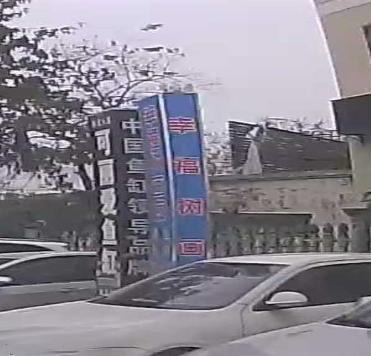 幸福树画廊