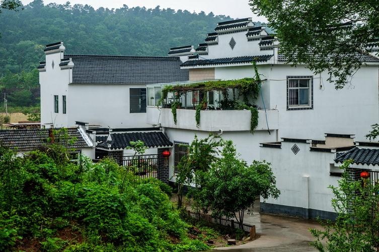 南池村