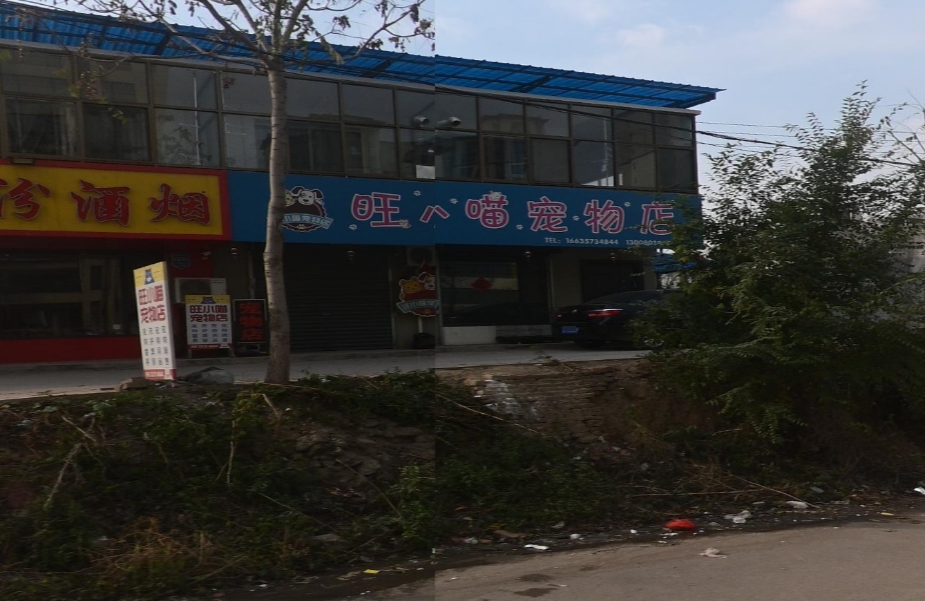 旺小喵宠物店