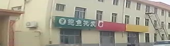 鲍鱼批发