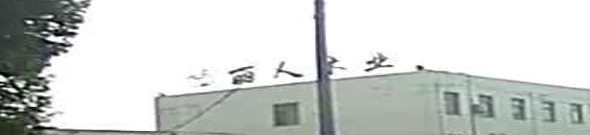 叶集丽人木业