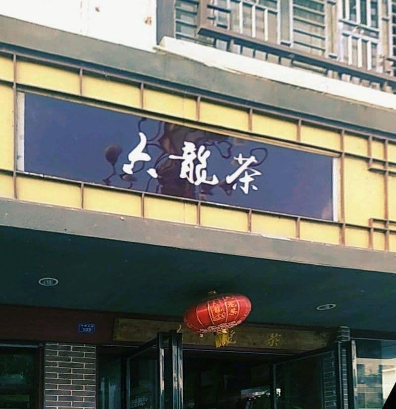 六龙茶