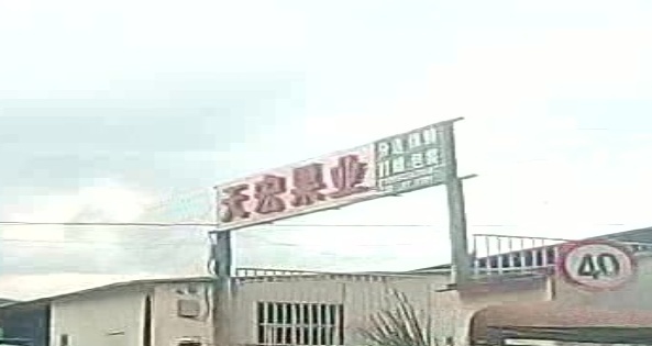 天宏果业