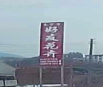好友花卉