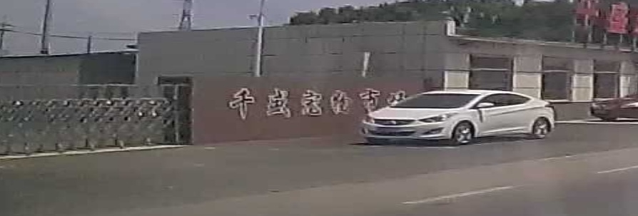 千盛宠物市场