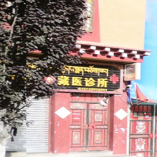 八宿县众利藏医诊所