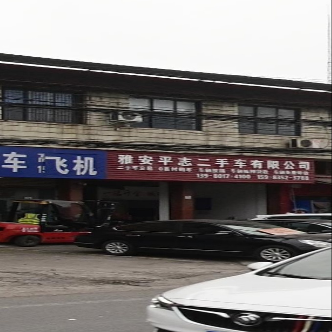 雅安平志二手车有限公司