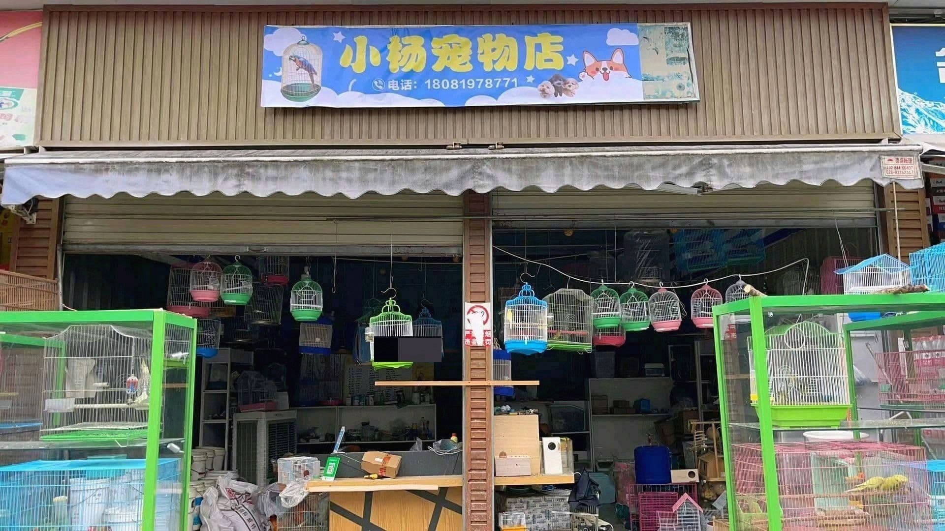 小杨宠物店