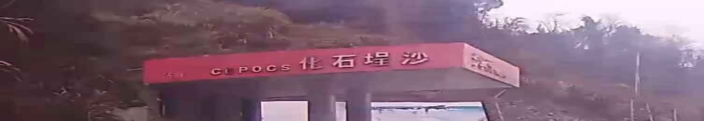 沙埕石化加油市(顺鑫站)