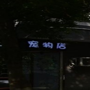 宠物店