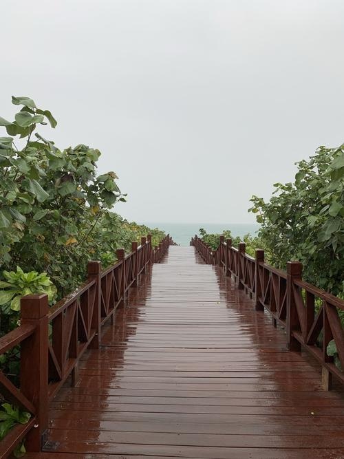 棋子湾中央森林公园