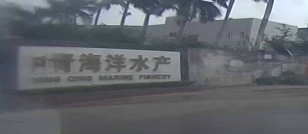 中青海洋水产