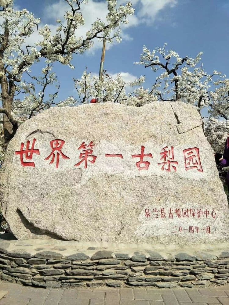 什川梨园-游客服务中心