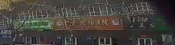 博纳宠物校医