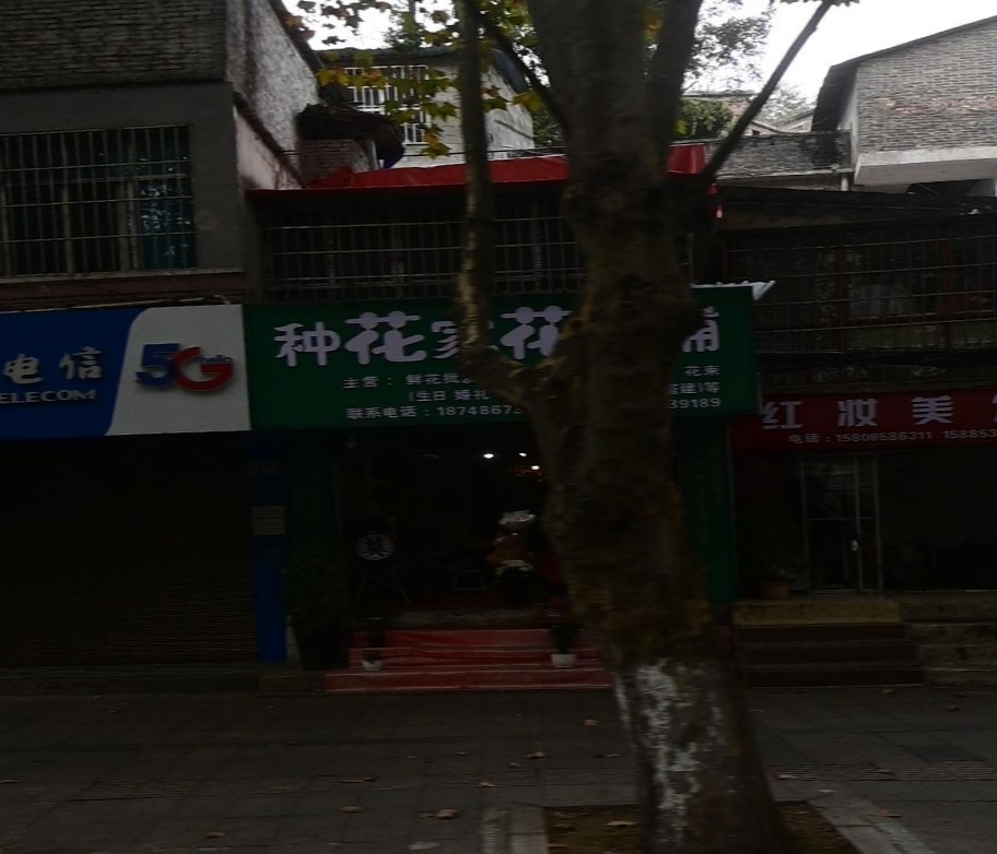 种花家花艺铺