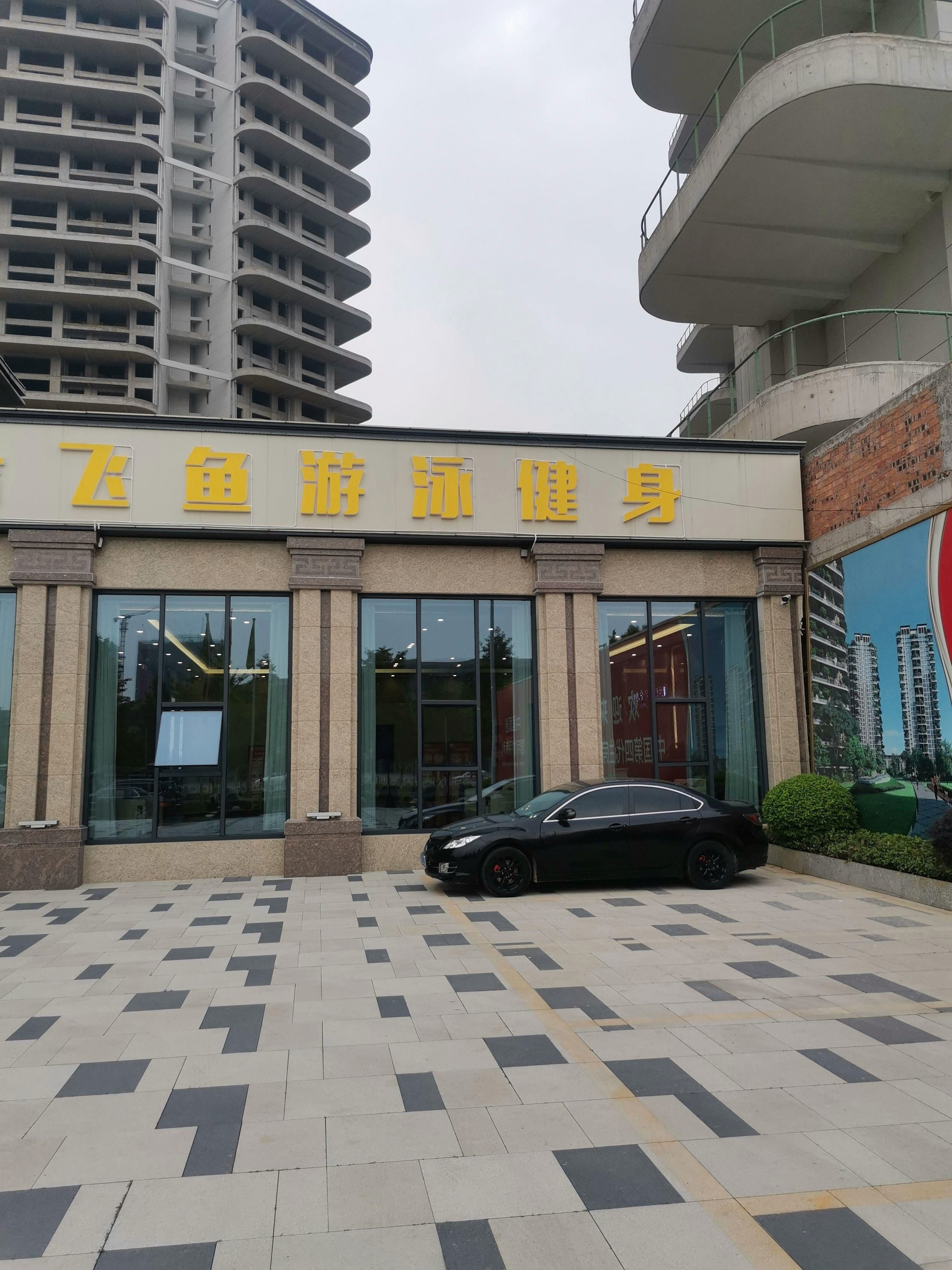 飞鱼游泳健身