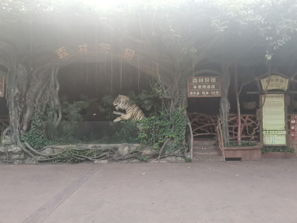 森林狩猎